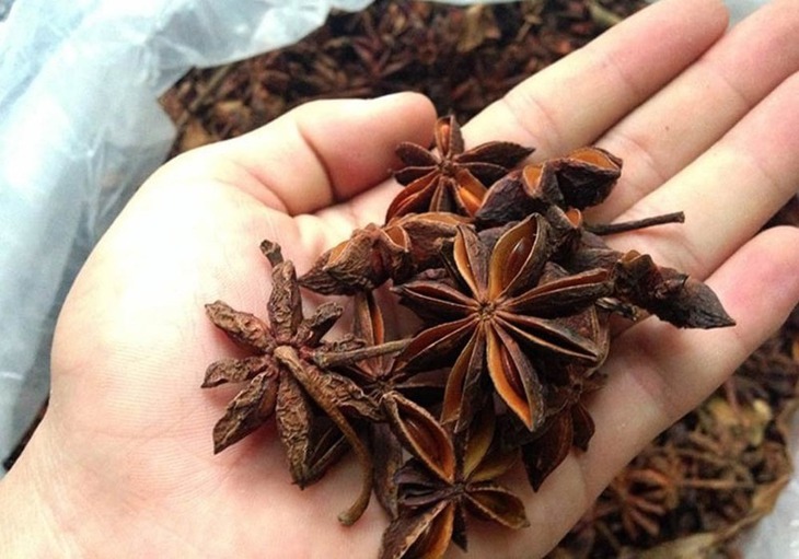 Mặt hàng 'báu vật' của Việt Nam được nhiều quốc gia săn đón- Ảnh 1. Mặt hàng 'báu vật' của Việt Nam được nhiều quốc gia săn đón- Ảnh 1.