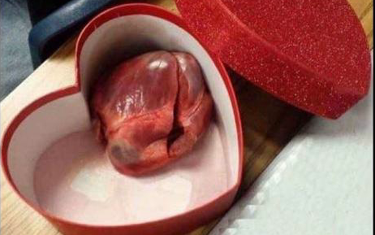 "Chết cười" với những hình ảnh hài hước ngày Valentine 14/2