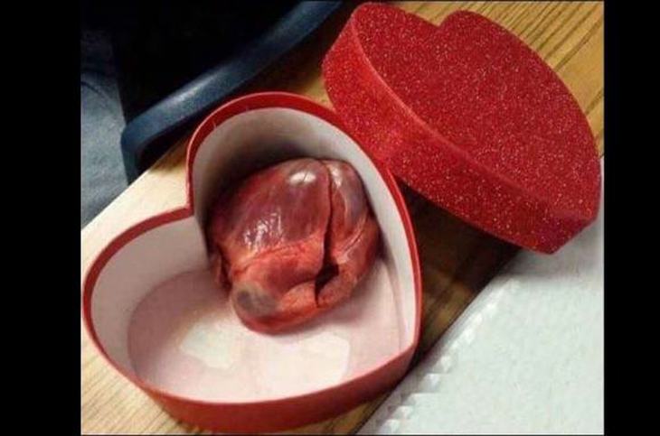 'Chết cười' với những hình ảnh hài hước ngày Valentine 14/2- Ảnh 1.