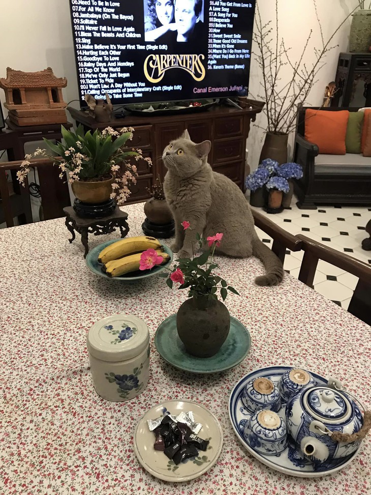 Hôn nhân đời thực của mỹ nhân Hà Nội xưa: NSND Lê Khanh bình dị khiến khán giả ngỡ ngàng- Ảnh 13. Hôn nhân đời thực của mỹ nhân Hà Nội xưa: NSND Lê Khanh bình dị khiến khán giả ngỡ ngàng- Ảnh 13.