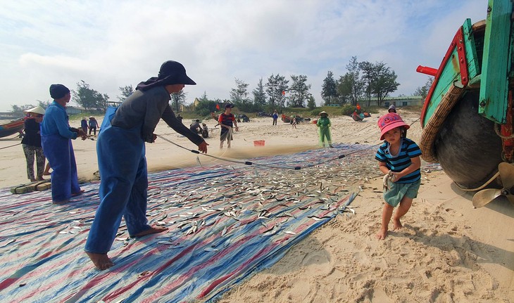 Ngư dân Quảng Bình bội thu 'lộc biển' trong chuyến ra khơi đầu năm- Ảnh 5.