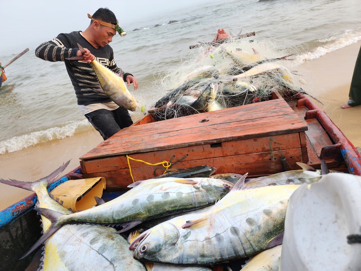 Ngư dân Quảng Bình bội thu 'lộc biển' trong chuyến ra khơi đầu năm- Ảnh 1.
