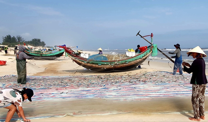 Ngư dân Quảng Bình bội thu 'lộc biển' trong chuyến ra khơi đầu năm- Ảnh 9.