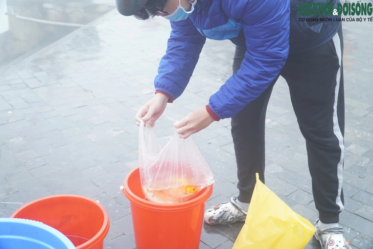Người dân Hà Nội tất bật thả cá chép tiễn ông Táo trong biển sương mù dày đặc- Ảnh 3. Người dân Hà Nội tất bật thả cá chép tiễn ông Táo trong biển sương mù dày đặc- Ảnh 3.