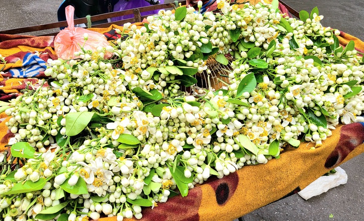 Mùa hoa bưởi về, tiểu thương 'bỏ túi' tiền triệu mỗi ngày nhờ bán hoa - Ảnh 1.