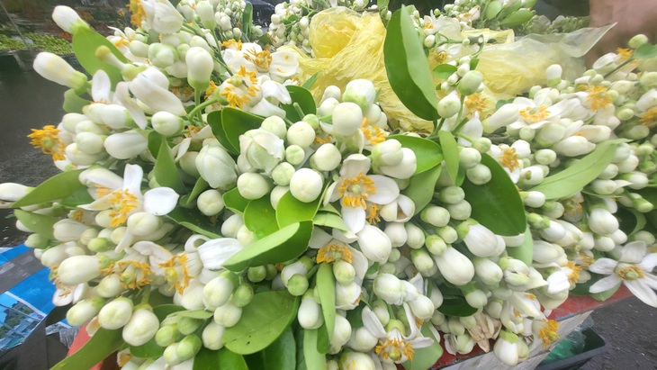 Mùa hoa bưởi về, tiểu thương 'bỏ túi' tiền triệu mỗi ngày nhờ bán hoa - Ảnh 8.