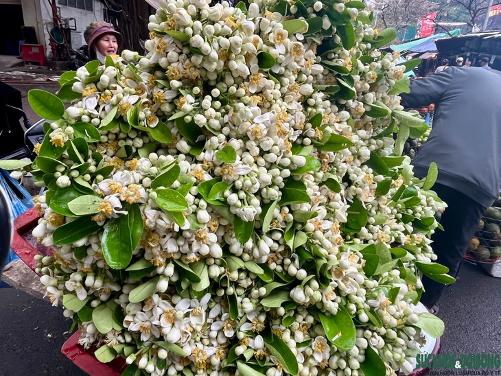 Hoa bưởi, hoa cau, đồ cúng lễ sôi động sát ngày Rằm tháng Giêng- Ảnh 5.