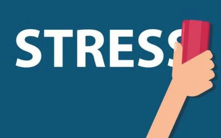 Vì sao có người dễ bị stress hơn người khác?- Ảnh 1.