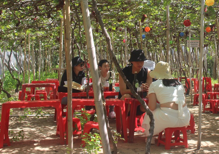 Ở nơi được hái nho ngon và uống mật ngọt miễn phí- Ảnh 3.