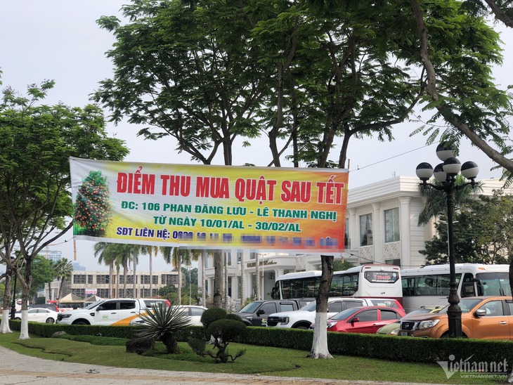 Mua 'xác' quất sau Tết, kiếm tiền triệu mỗi ngày- Ảnh 3.