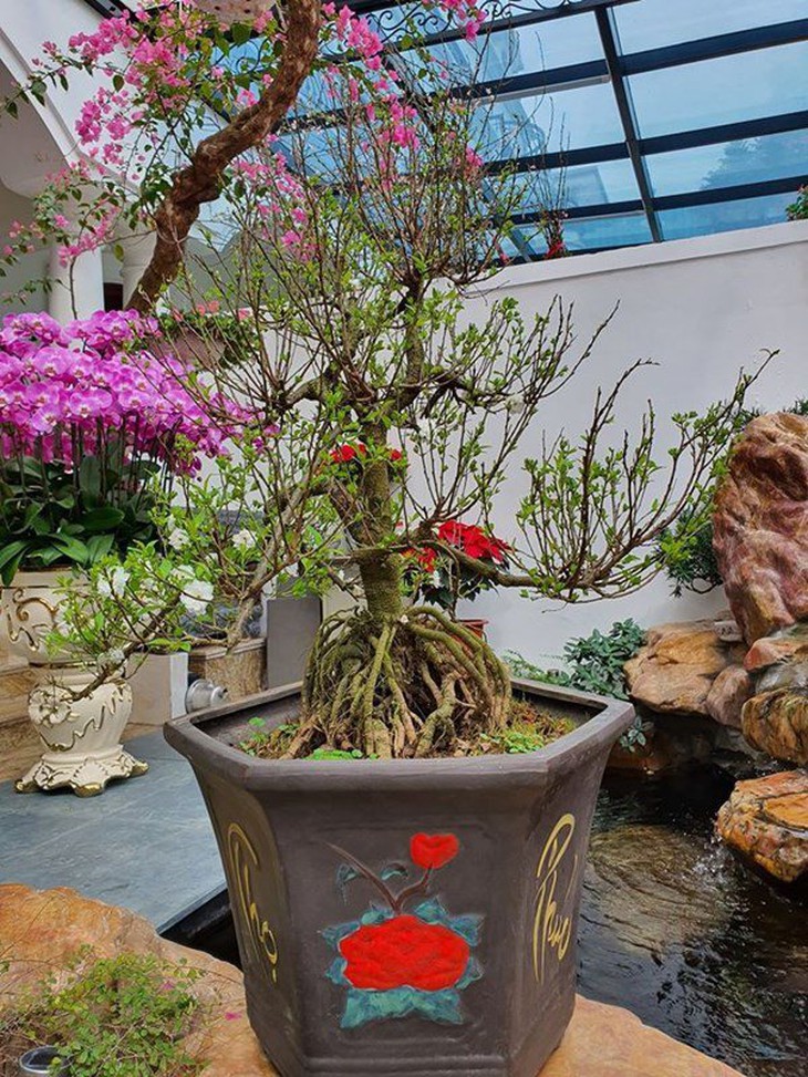 Công tử nhà giàu trong 'Đào, phở và piano' ngoài đời sở hữu cơ ngơi bạc tỷ nào?- Ảnh 12. Công tử nhà giàu trong 'Đào, phở và piano' ngoài đời sở hữu cơ ngơi bạc tỷ nào?- Ảnh 12.