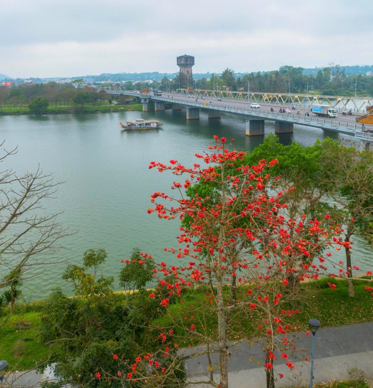 Cố đô Huế đẹp nao lòng mua hoa gạo nở- Ảnh 1.
