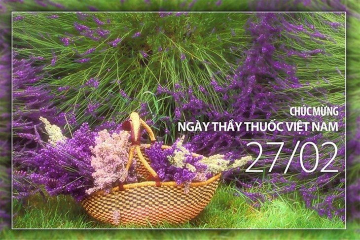 Những mẫu thiệp chúc mừng ngày Thầy thuốc Việt Nam 27/2 đẹp nhất 2024- Ảnh 20.