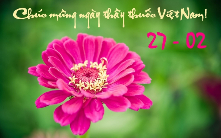 Những mẫu thiệp chúc mừng ngày Thầy thuốc Việt Nam 27/2 đẹp nhất 2024- Ảnh 8.