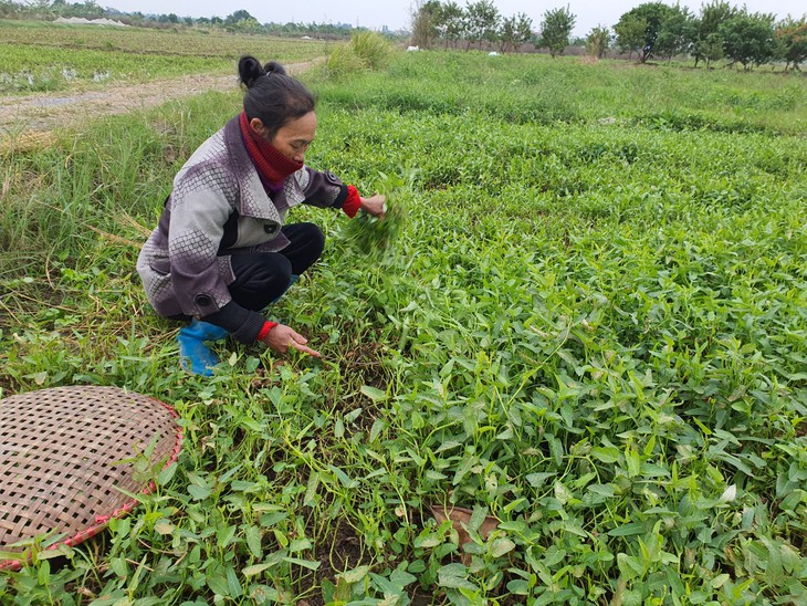 Xót thương hai đứa trẻ thiếu tình thương của cha mẹ, côi cút sống cùng ông bà già yếu- Ảnh 1.