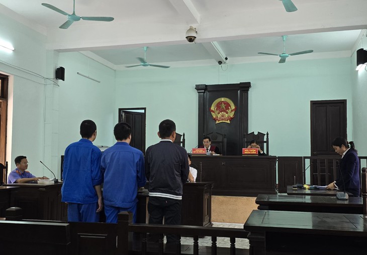 Mua bán thận, nhóm đối tượng lãnh án- Ảnh 1.