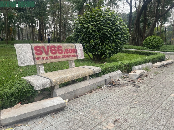 Ghế đá vườn hoa tiếp tục bị xịt sơn quảng cáo web cờ bạc, trách nhiệm của chính quyền địa phương?- Ảnh 6. Ghế đá vườn hoa tiếp tục bị xịt sơn quảng cáo web cờ bạc, trách nhiệm của chính quyền địa phương?- Ảnh 6.