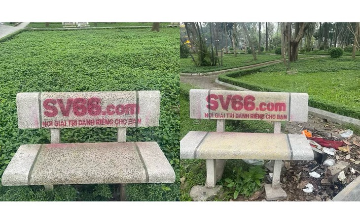 Ô tô đậu trong ngõ ở Nghệ An bị xịt sơn trắng, công an vào cuộc- Ảnh 3.