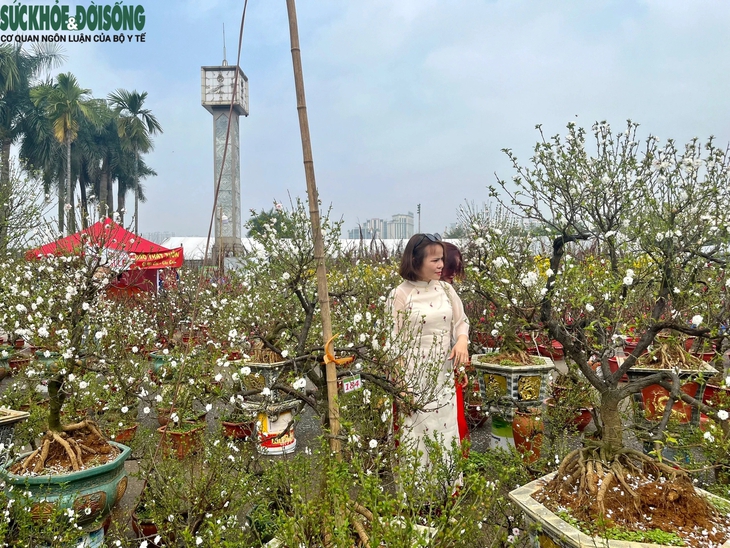 Chủ nhật cuối năm, người dân đi sắm Tết, siêu thị chật cứng, hàng hoa tất bật- Ảnh 3.