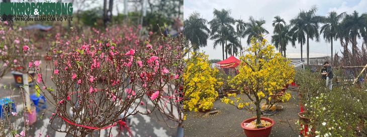 Chủ nhật cuối năm, người dân đi sắm Tết, siêu thị chật cứng, hàng hoa tất bật- Ảnh 4.