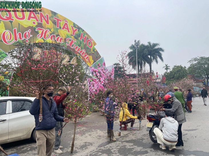 Chủ nhật cuối năm, người dân đi sắm Tết, siêu thị chật cứng, hàng hoa tất bật- Ảnh 5.