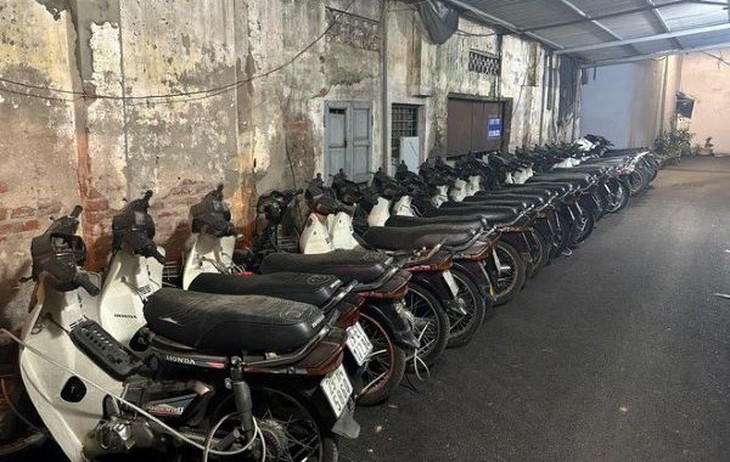Triệt phá đường dây trộm cắp tiêu thụ hàng chục xe máy- Ảnh 1.