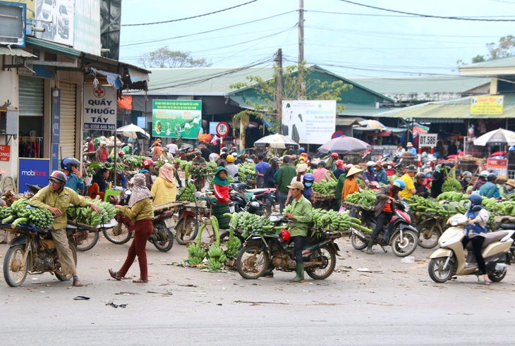 Thăm phiên chợ chỉ bán duy nhất một loại quả- Ảnh 1. Thăm phiên chợ chỉ bán duy nhất một loại quả- Ảnh 1.
