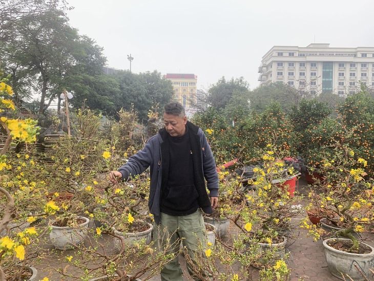 Cận Tết, tiểu thương như ngồi trên "bếp lửa" khi đào quất ế ẩm
- Ảnh 15.