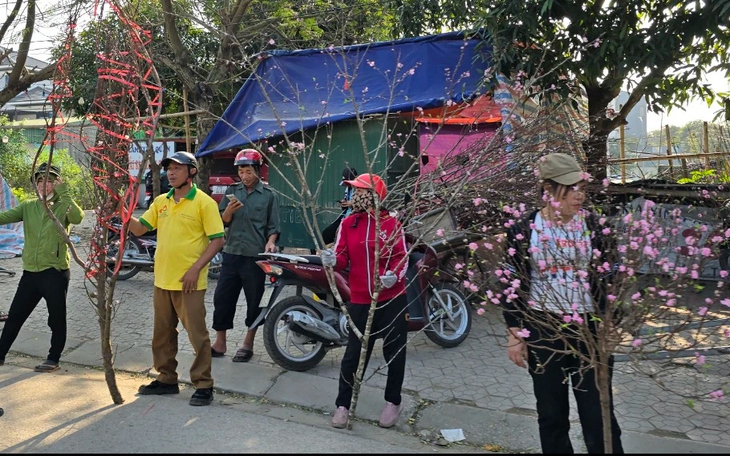Cận Tết, tiểu thương như "ngồi trên lửa" khi đào quất ế ẩm
