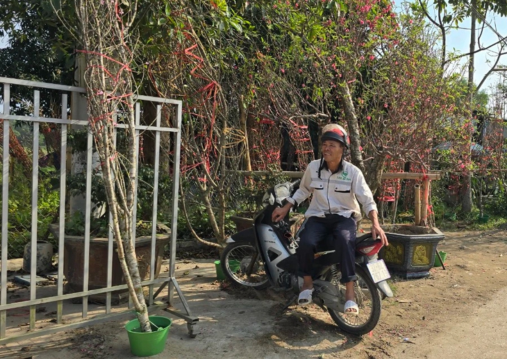 Cận Tết, tiểu thương như ngồi trên "bếp lửa" khi đào quất ế ẩm
- Ảnh 9.