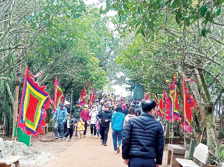 Khí thiêng trên đỉnh Ngàn Nưa- Ảnh 8.