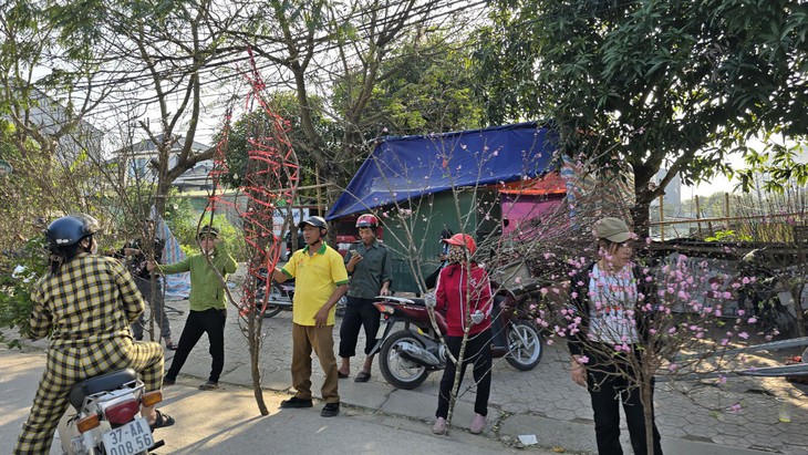 Cận Tết, tiểu thương như ngồi trên "bếp lửa" khi đào quất ế ẩm
- Ảnh 7.