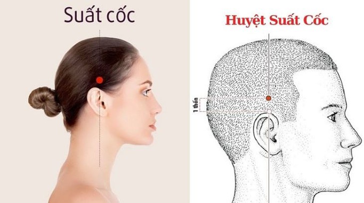 Day bấm huyệt giúp giảm say rượu- Ảnh 2. Day bấm huyệt giúp giảm say rượu- Ảnh 2.