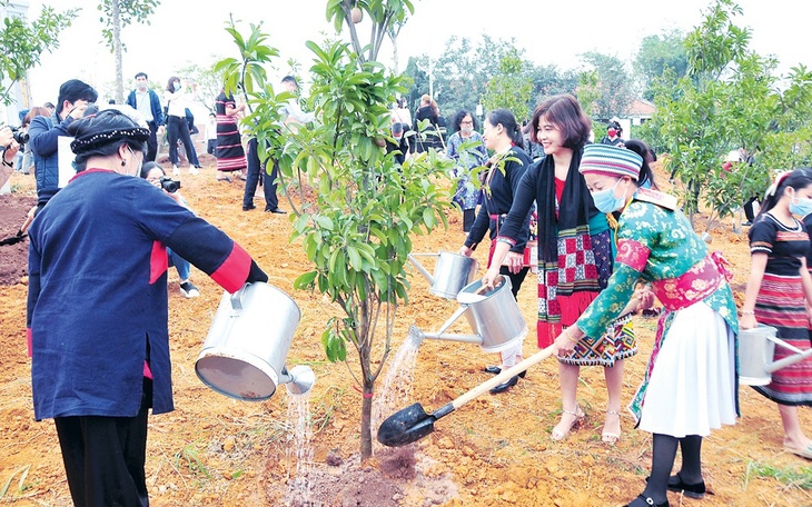 Thủ tướng yêu cầu triển khai "Tết trồng cây’ phải thiết thực, không phô trương