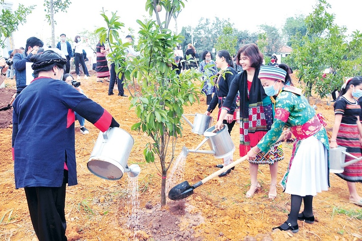 Thủ tướng yêu cầu triển khai 'Tết trồng cây đời đời nhớ ơn Bác Hồ' phải thiết thực, không phô trương- Ảnh 1. Thủ tướng yêu cầu triển khai 'Tết trồng cây đời đời nhớ ơn Bác Hồ' phải thiết thực, không phô trương- Ảnh 1.