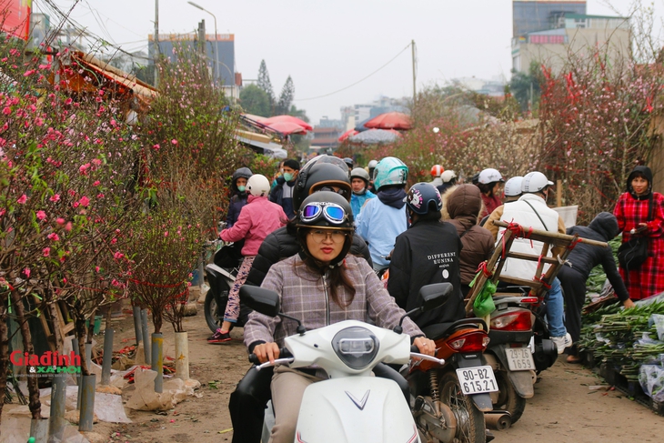 Chợ hoa Quảng An tấp nập ngày giáp Tết- Ảnh 1.