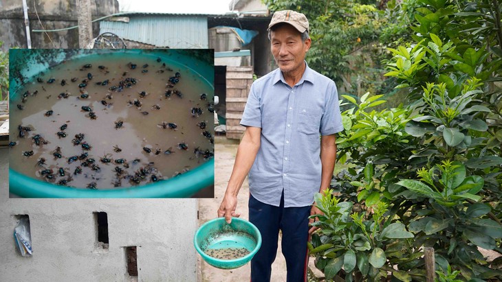 Thái Bình: Người dân ‘sống mòn’ cùng mùi hôi thối, khói bụi từ bãi rác khổng lồ- Ảnh 3. Thái Bình: Người dân ‘sống mòn’ cùng mùi hôi thối, khói bụi từ bãi rác khổng lồ- Ảnh 3.