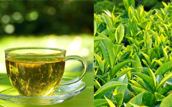 4 loại thực phẩm chống viêm tốt nhất giúp ngăn ngừa bệnh tật- Ảnh 3.