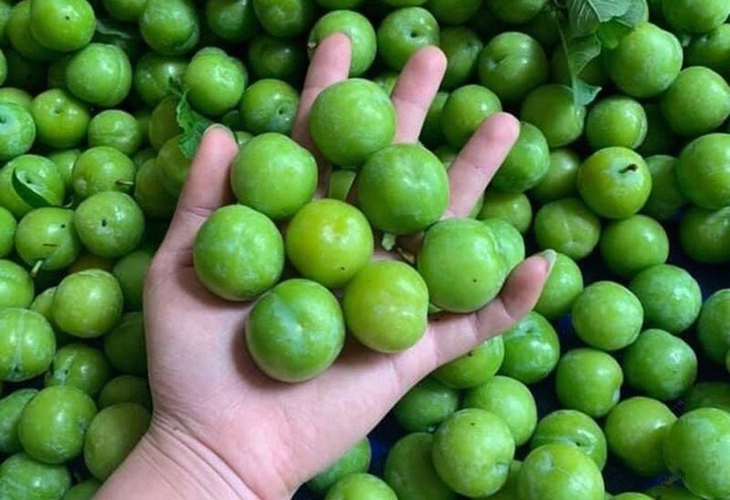 Mận trái mùa 'giá chát' nhưng vẫn hấp dẫn chị em- Ảnh 2.