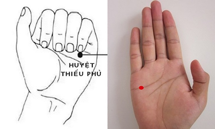huyệt thieu phu
