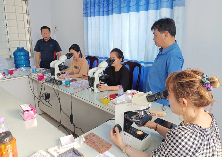 Cán bộ y tế vào "điểm nóng" săn bắt muỗi về nghiên cứu- Ảnh 3. Cán bộ y tế vào "điểm nóng" săn bắt muỗi về nghiên cứu- Ảnh 3.