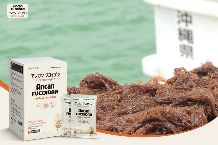 Lưu ý gì khi lựa chọn Fucoidan Nhật Bản ?- Ảnh 1.