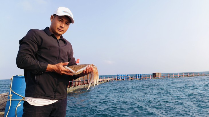 Làm giàu nhờ nuôi mực trong lồng trên biển- Ảnh 2.
