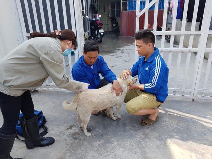 Nhiều người tử vong vì bệnh dại trong 2 tháng đầu năm, Thủ tướng chỉ đạo khẩn- Ảnh 1.