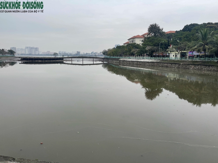 Cá chết ở hồ Thuỷ Sứ, Tây Hồ: Lãnh đạo phường nói gì?- Ảnh 1.