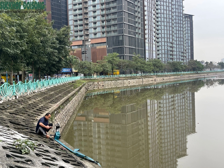 Cá chết ở hồ Thuỷ Sứ, Tây Hồ: Lãnh đạo phường nói gì?- Ảnh 3.