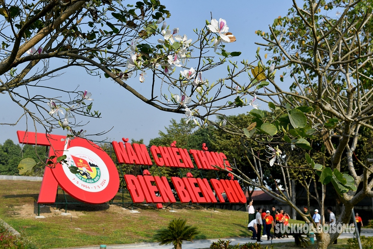 Tinh khôi sắc ban trắng giữa đất trời Tây Bắc- Ảnh 1.