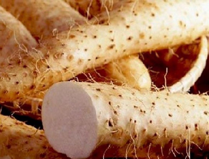 4 món ăn, bài thuốc tốt cho người bệnh lao phổi- Ảnh 2.