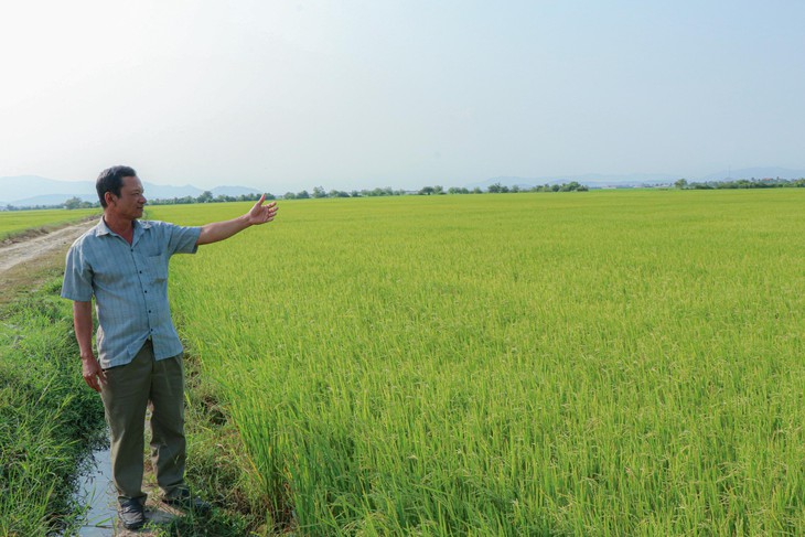 Kỳ lạ: Khu đất múc lên rồi lại tự đầy- Ảnh 2. Kỳ lạ: Khu đất múc lên rồi lại tự đầy- Ảnh 2.