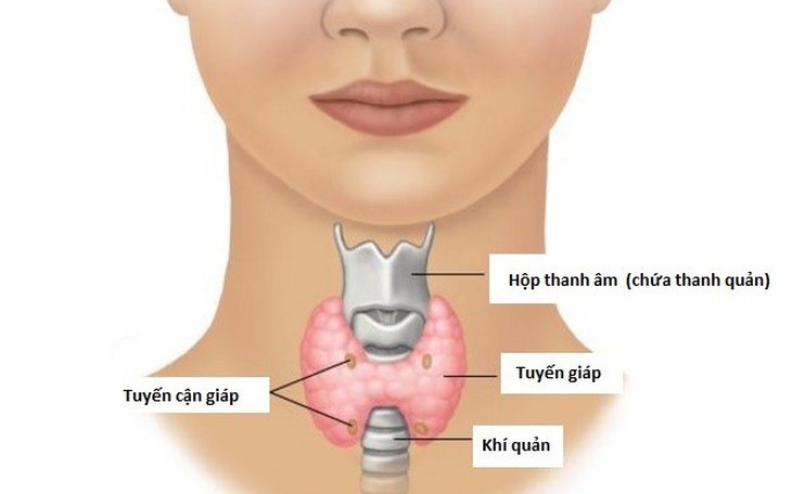 Điều trị bệnh lý tuyến giáp
